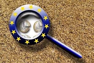 Prognozy plonów zbóż 2020 w UE